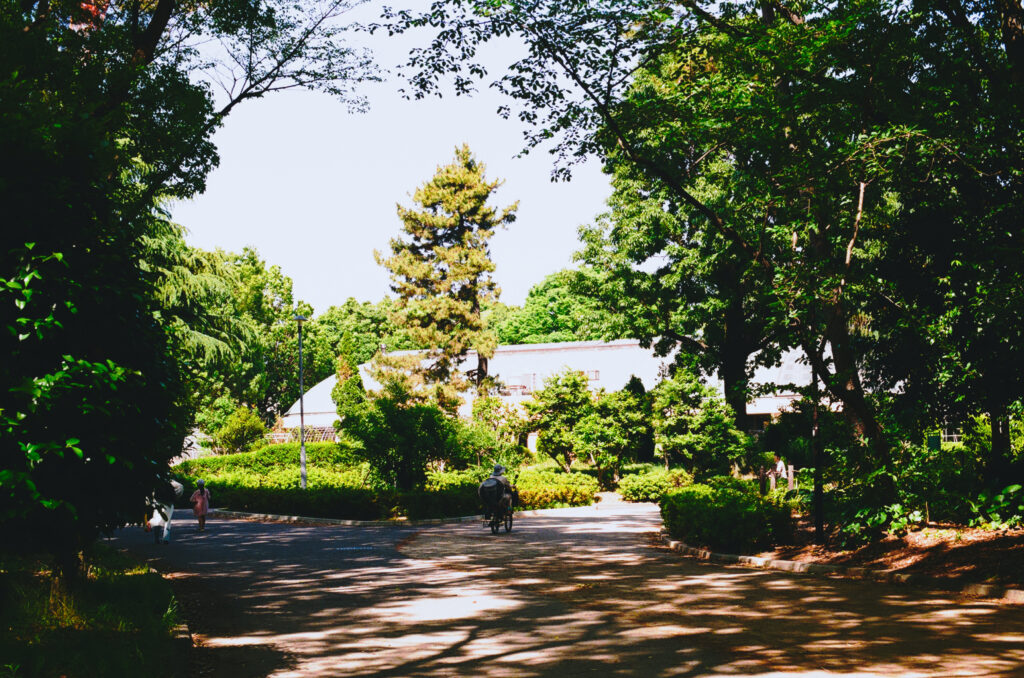 名城公園内の道