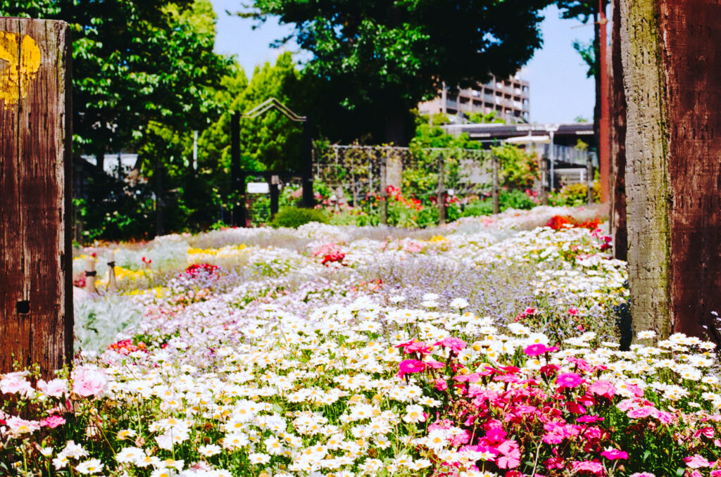 名城公園 ガーデン