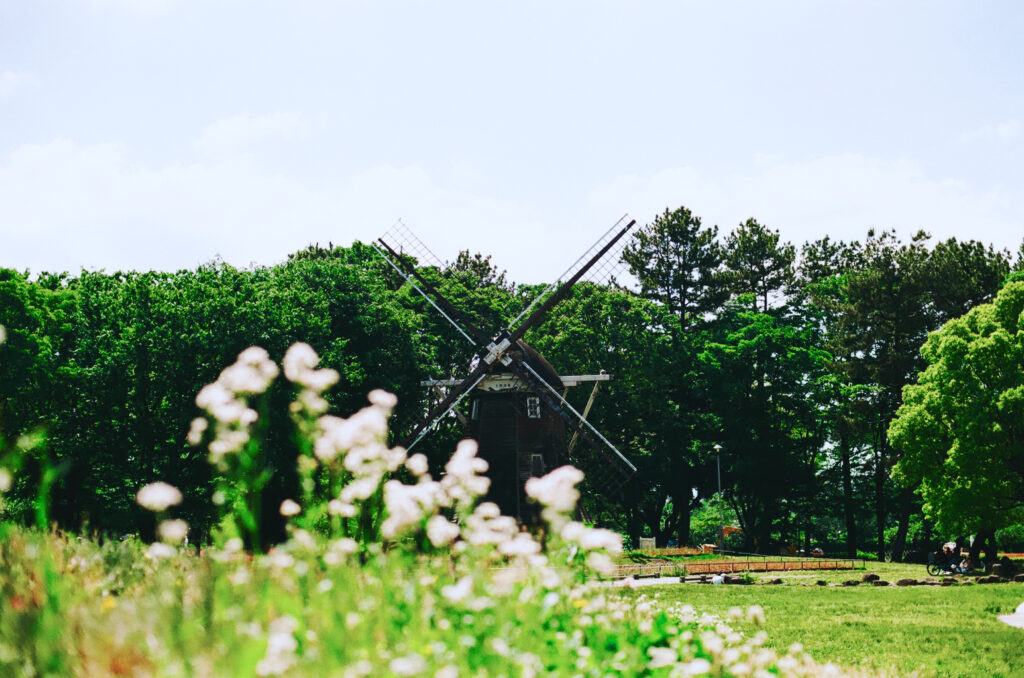 名城公園 風車