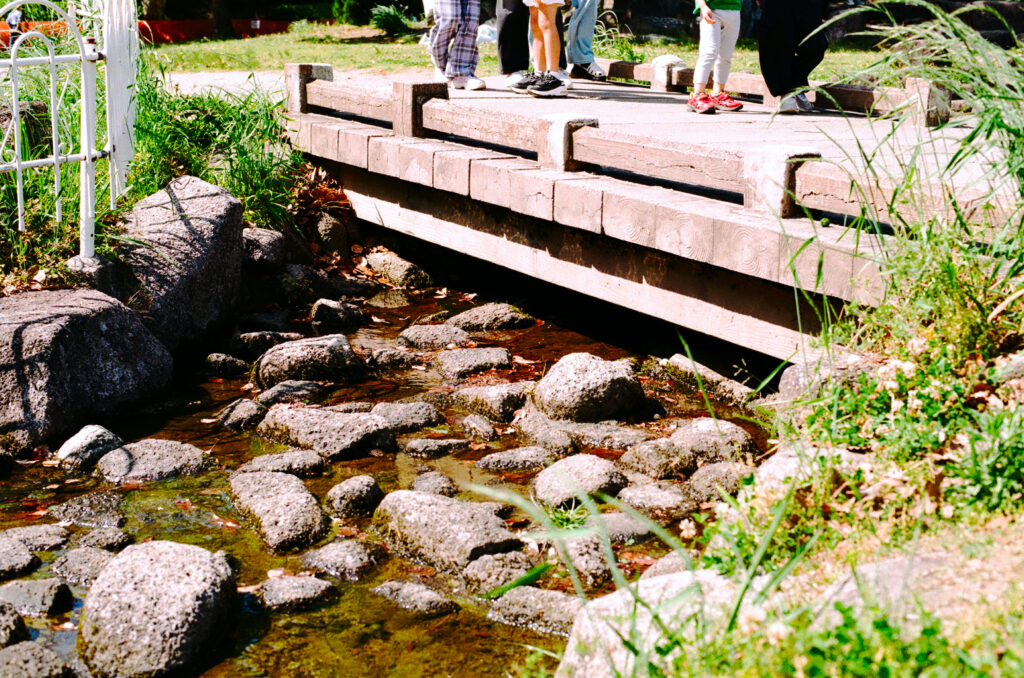 名城公園 橋