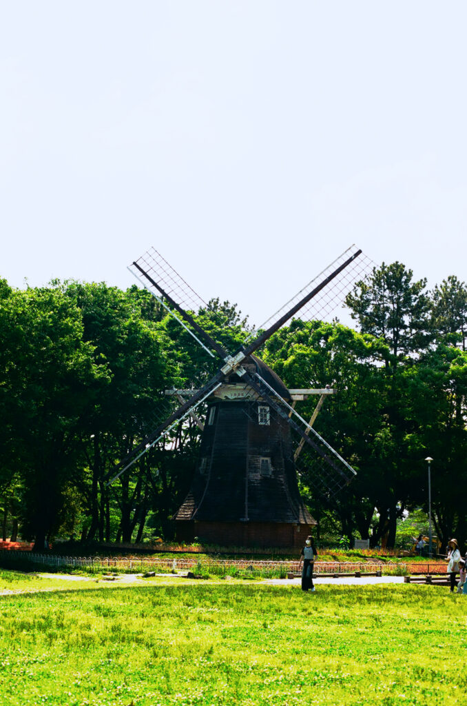 名城公園 風車