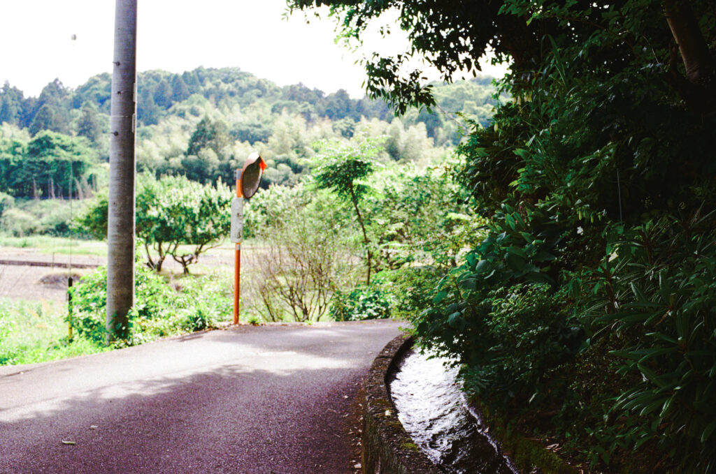 多度狭までの道