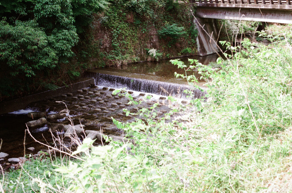 多度狭までの道にある多度川