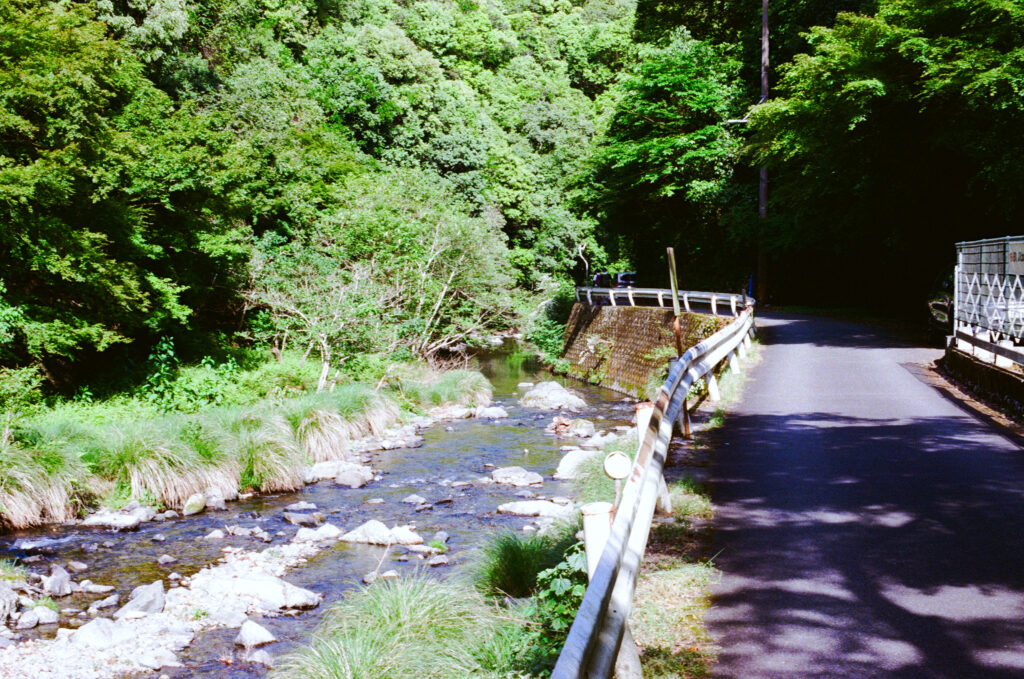 多度狭を出たすぐの道