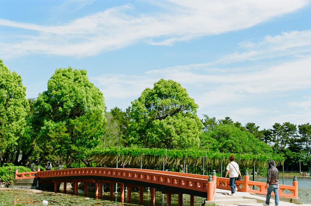 天王川公園にかけられた橋と島