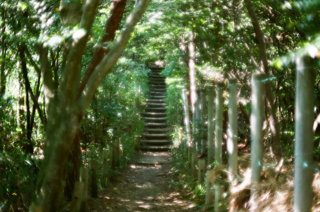 東谷山の階段