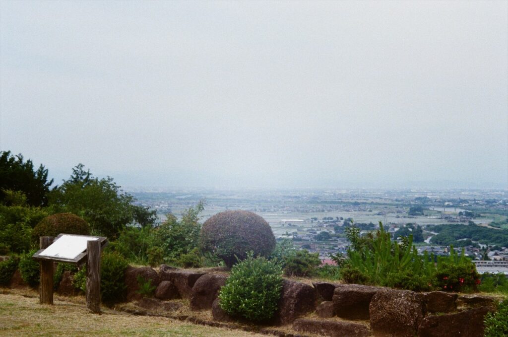 月見の森の景色