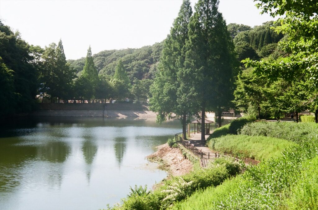 岐阜ワールドローズガーデンの風景