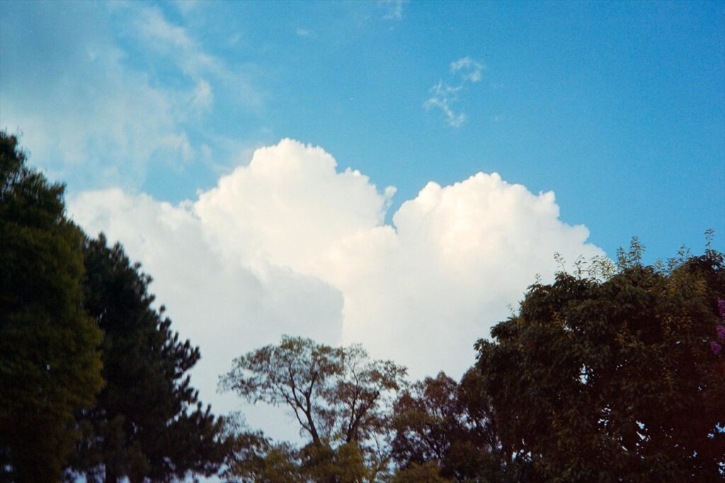 伏見稲荷大社で撮った空