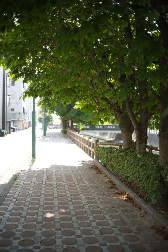 大垣の水路沿い