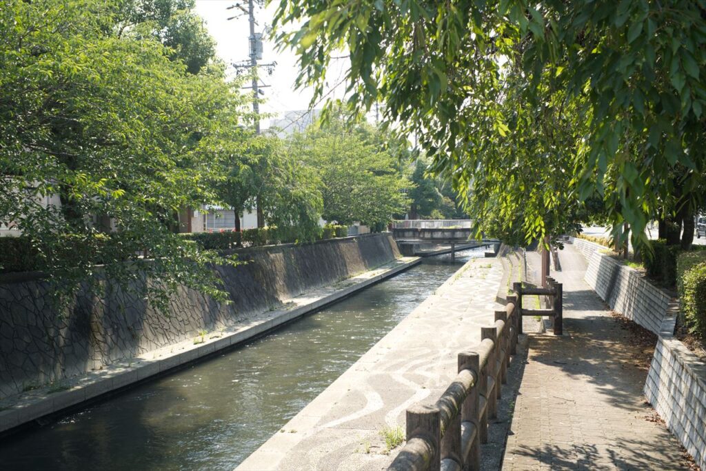 大垣市の水路