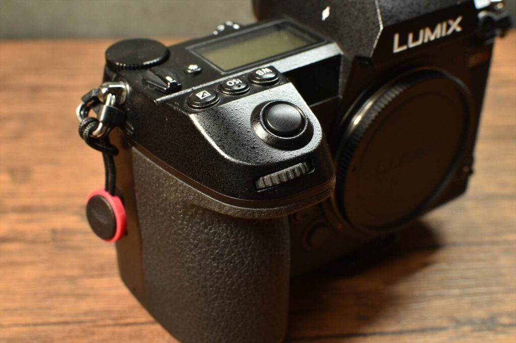 LUMIX S1R